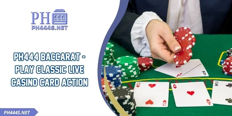 PH444 Baccarat - Play Classic Live Casino Card Action