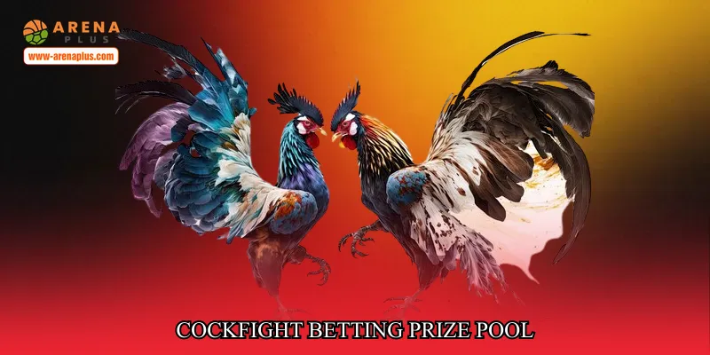 Cockfight betting prize pool