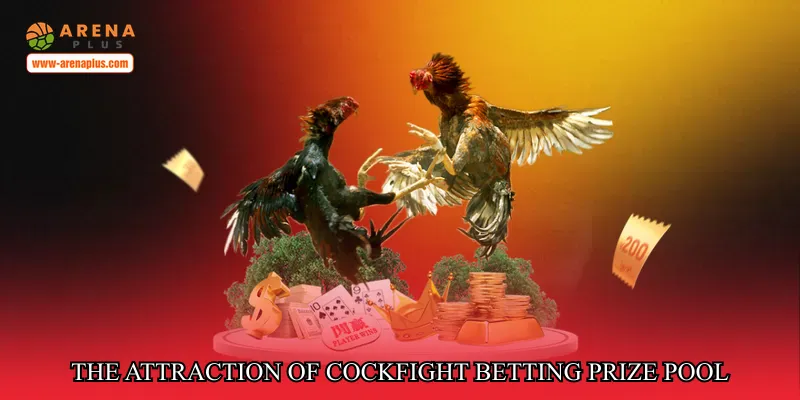 The Attraction of Cockfight Betting Prize Pool