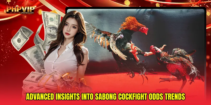 Advanced insights into Sabong cockfight odds trends