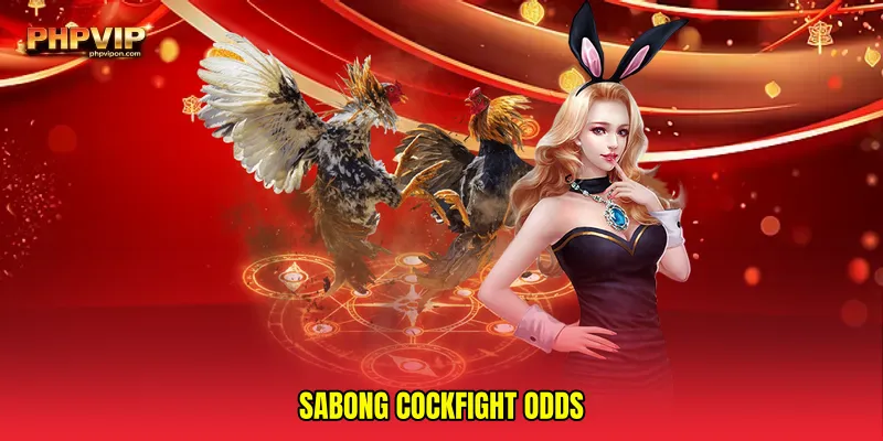 Sabong cockfight odds