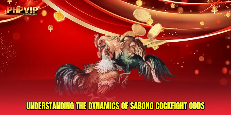 Understanding the dynamics of Sabong cockfight odds